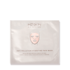Anti Pollution Hydrating Face Masks - Pack of 5